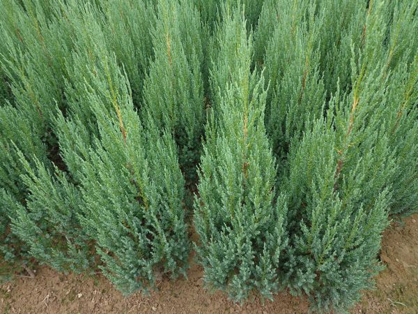 河南孩子沉迷手机不上学励志教育学校口碑排名